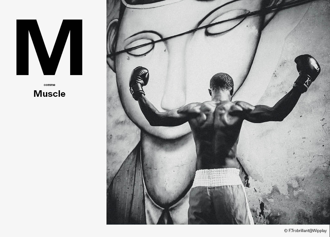 M comme Muscle