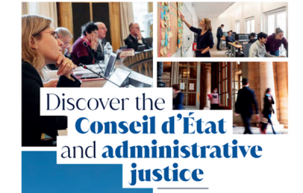 Find out what the Council of State and administrative justice do for citizens, on a daily basis.